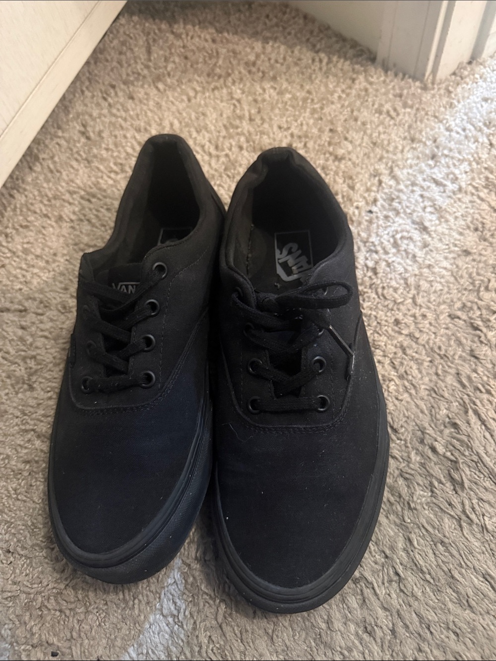 Vans Black Canvas Low-Top Sneakers